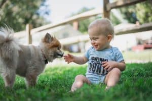 baby in blue shirt sitting on grass next to dog