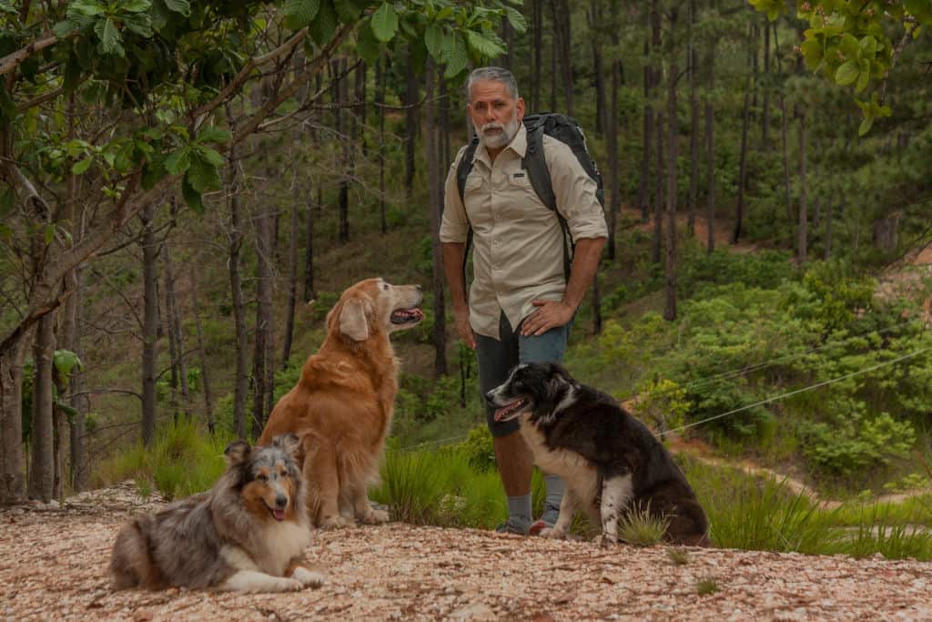 person in the wild with three pet dogs