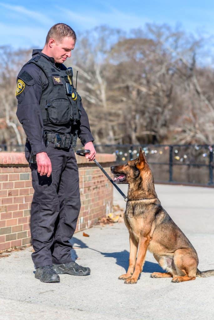 K9 police dog standing next to a polic officer