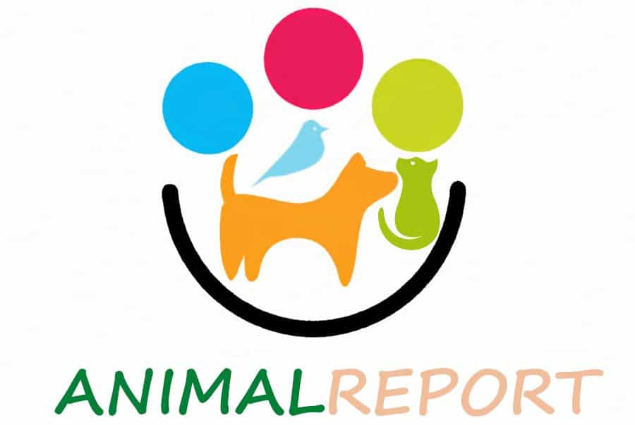 AnimalReport