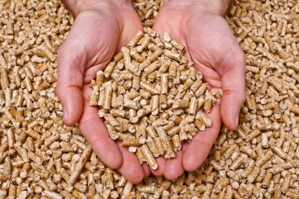 person holding cat litter in hands