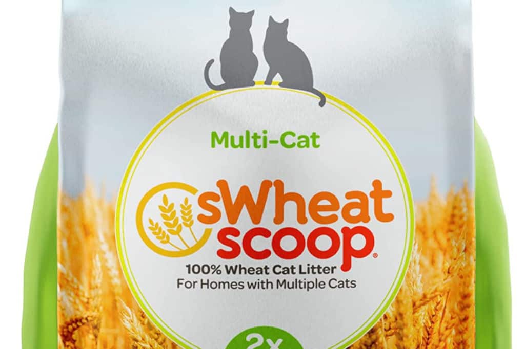 sWheat Scoop Grain Cat litter