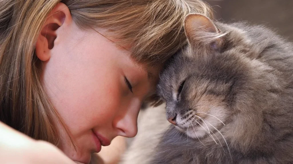 gray cat and blonde girl head bunting (headbutt)