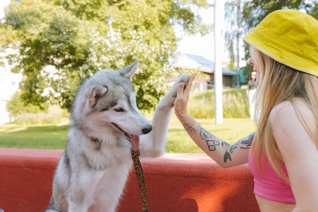 woman and white dog giving high five each other outside