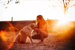woman in black shirt touching her brown dog in sunset