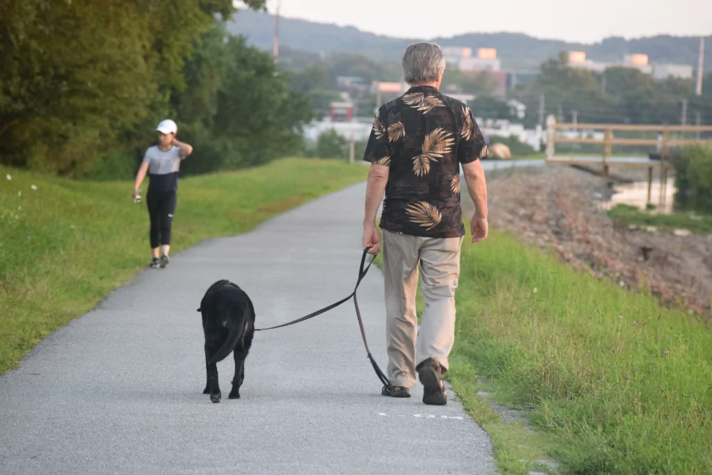a man loose leash walking a black dog in a path