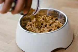 person filling dog food bowl with dog food from a jar