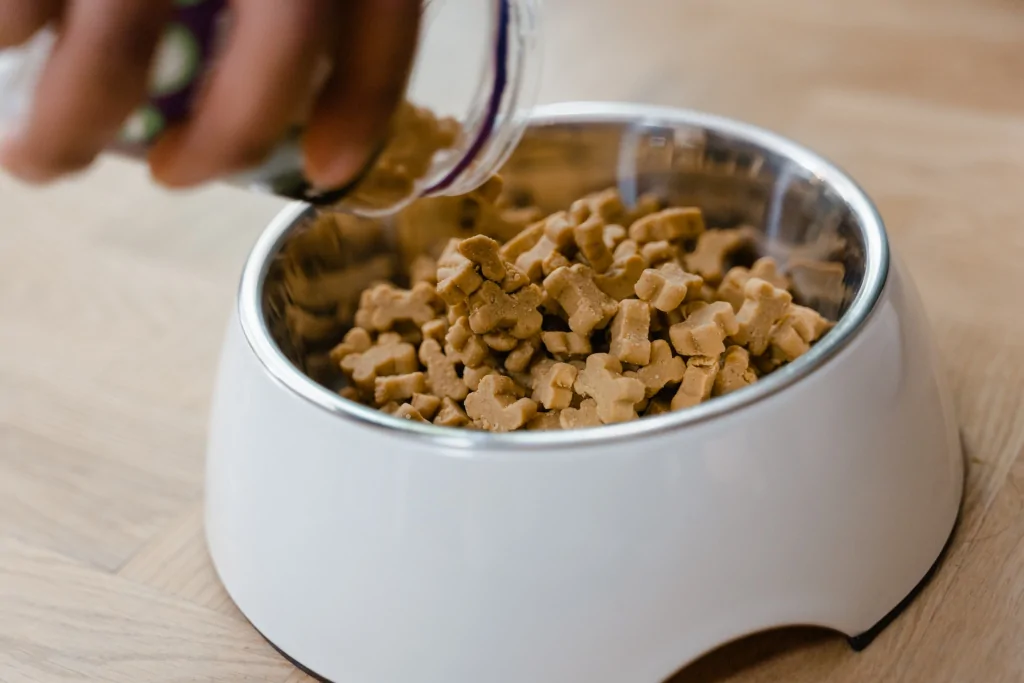 Inside the Kibble What Does Dog Food Taste Like?