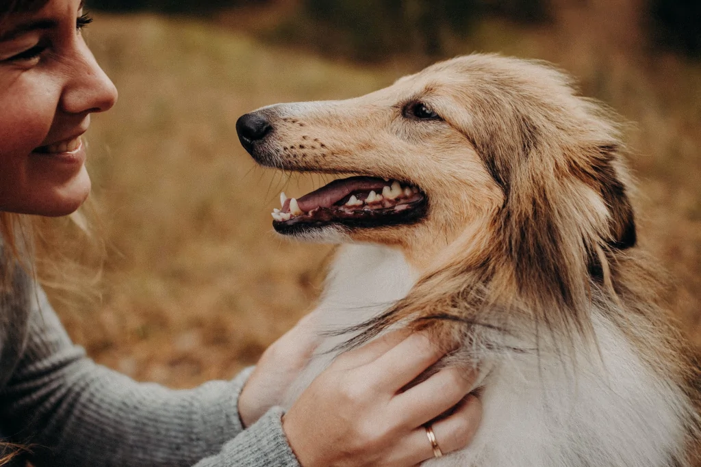 smiling woman petting a brown dog outside