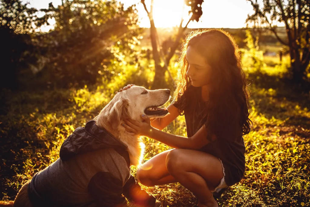 girl hugging a golden retriever in sunset