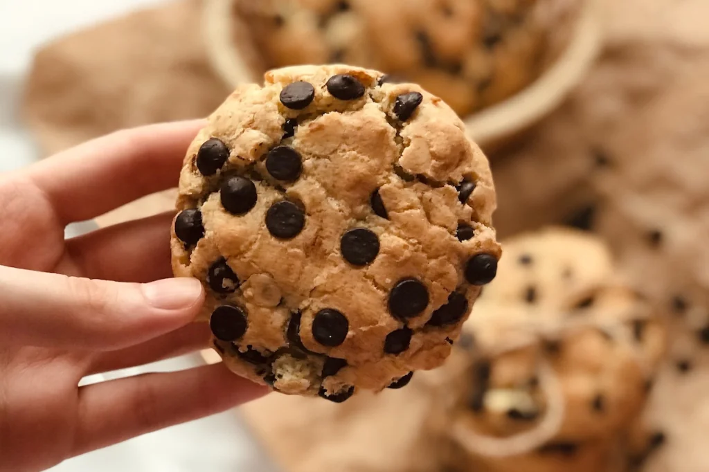 person holding chocolate chip cookie