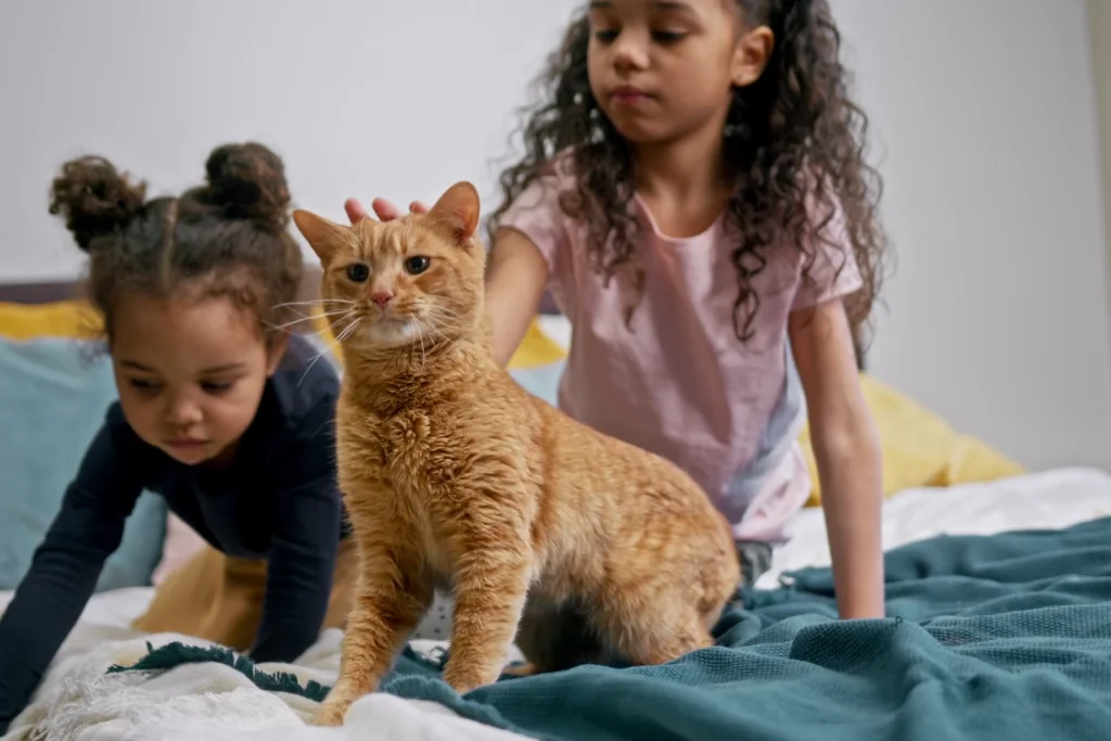 two children playing with an orange cat on bed