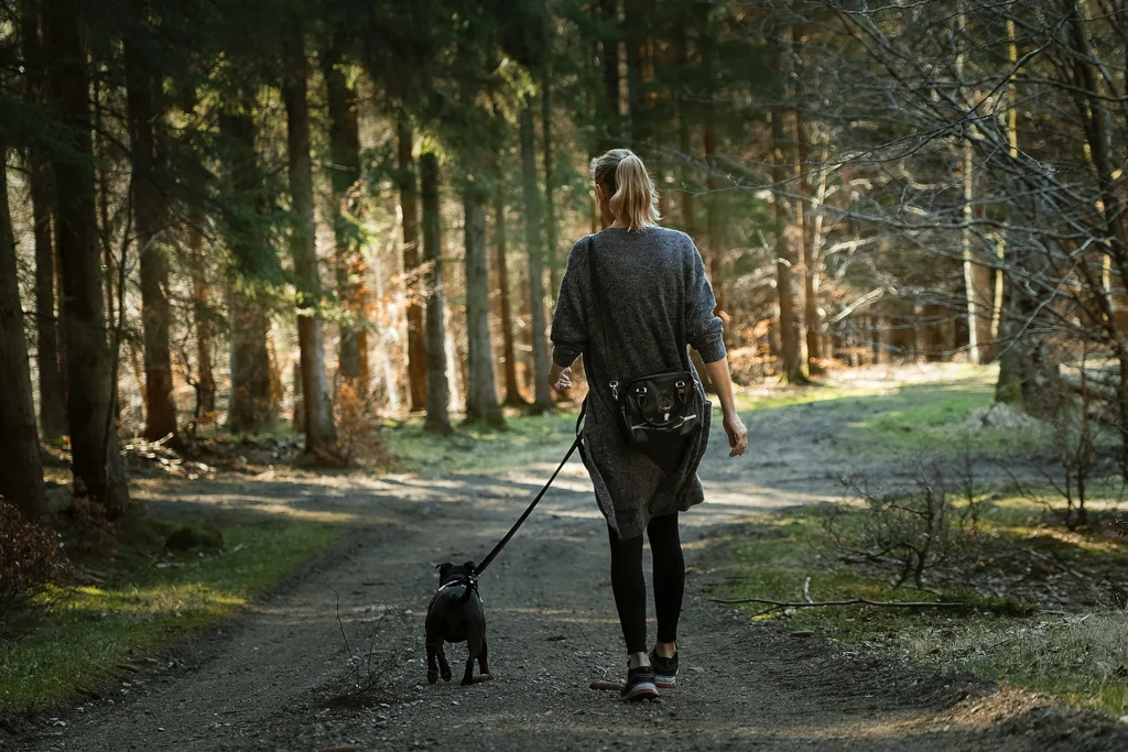 woman walking a black dog on path in forest