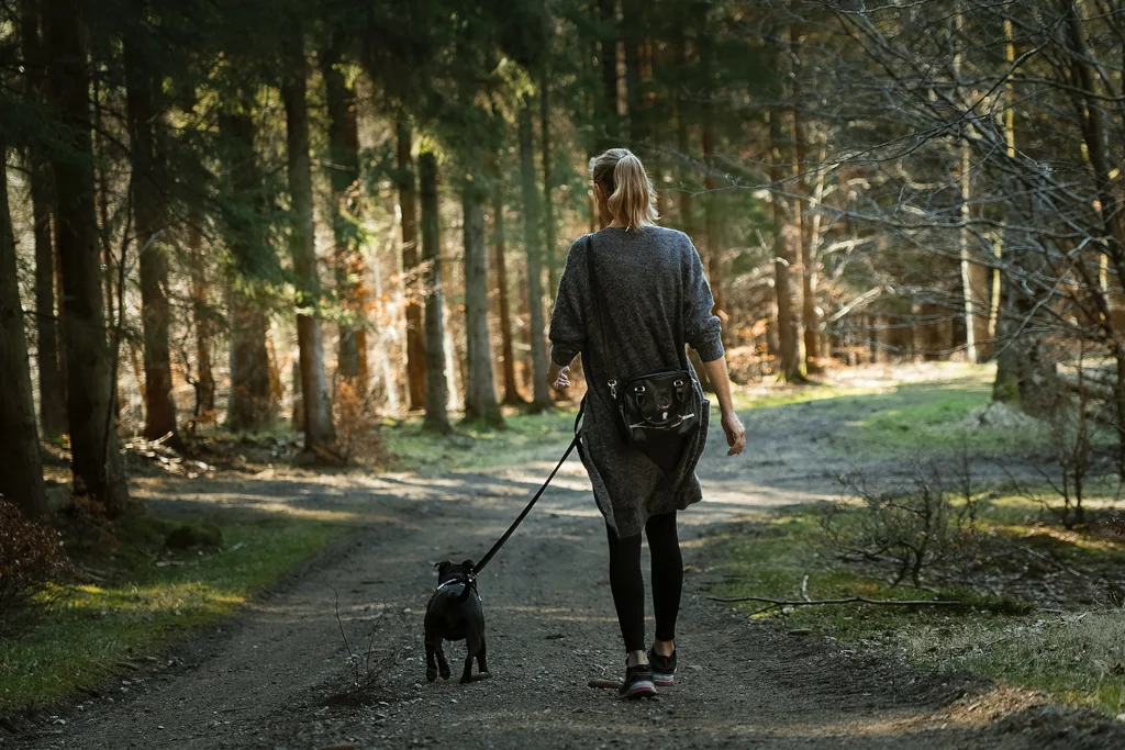 https://animalreport.net/wp-content/uploads/2023/06/woman-walking-a-black-dog-on-path-in-forest.webp