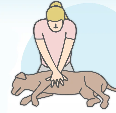 drawing of a woman performing CPR on a dog