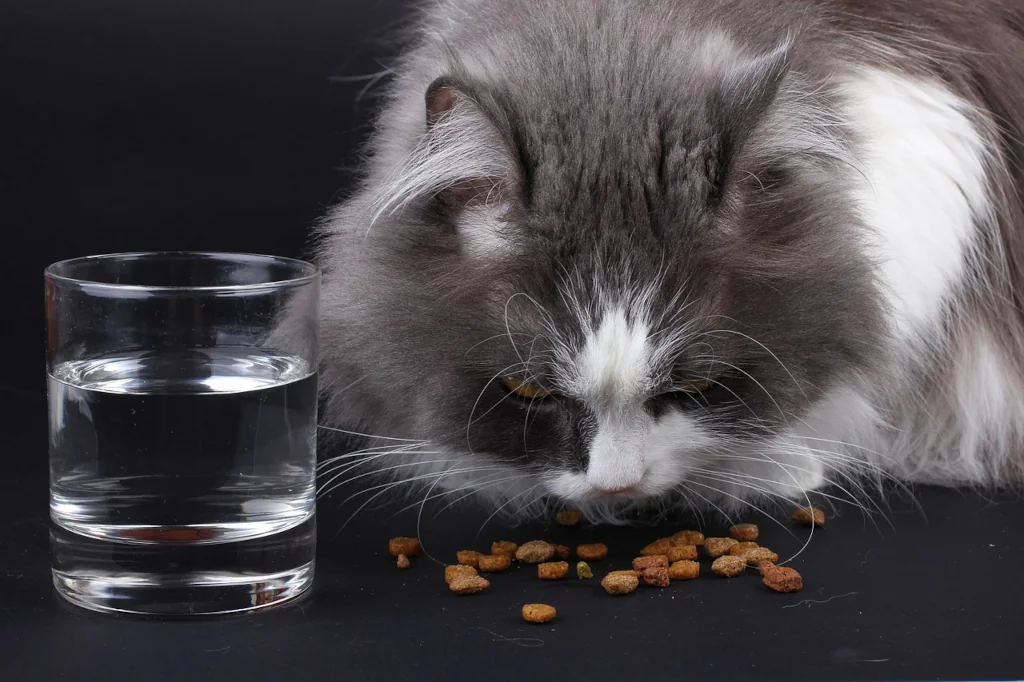 gray and white cat eating pieces of dry food next to a cup of water