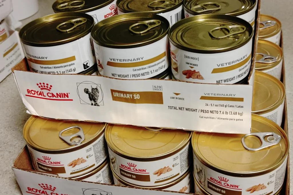 cans of Royal Canin canned wet cat food