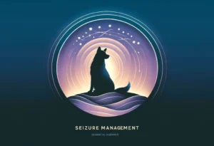 Dog silhouette with protective circle on calming gradient background